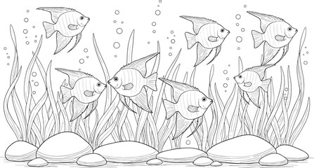 Underwater Tropical Fish Line Art Vector Illustration with Aquatic Plants, Rocks, and Detailed Marine Life Outline Drawing Design