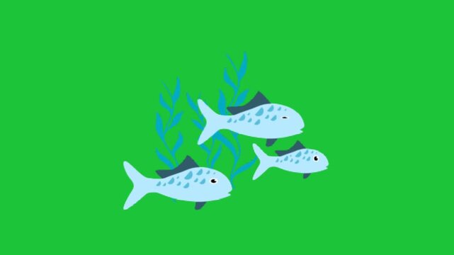 Playful blue fish swims left across a vivid green background with subtle bubbles and smooth looping motion ideal for kids media and educational videos