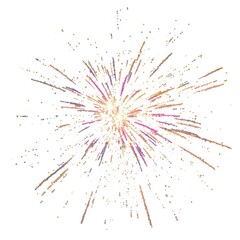 A vibrant fireworks display exploding with colorful sparks in the night sky