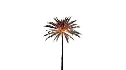 A lone palm tree standing against a plain white background with vibrant fronds.