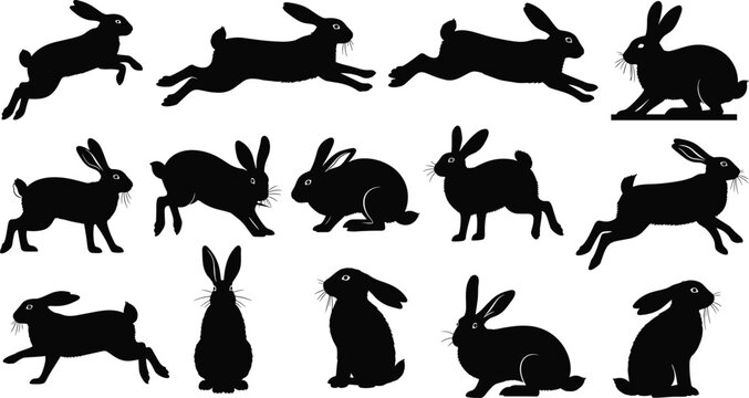 Rabbit silhouette collection, leaping hare set, cad drawing flat vector illustration, bunny jumping running sitting isolated, wildlife nature, easter, animal.