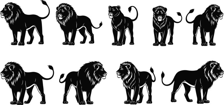 Lion Silhouette Collection, African Safari Predator Vector Set, Majestic King Animal Icons, Wild Cat Graphics, cad drawing flat vector illustration