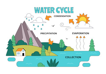 Naklejka premium Water Cycle Vector Illustration Featuring Evaporation, Condensation, Precipitation, And Collection In Earth's Natural Environment Background