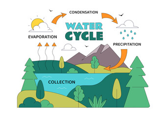 Naklejka premium Water Cycle Vector Illustration Featuring Evaporation, Condensation, Precipitation, And Collection In Earth's Natural Environment Background