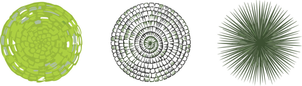 Green circular vector illustration of microscopic botanical structures, plant cells diatom algae radiolarian radial burst scientific design