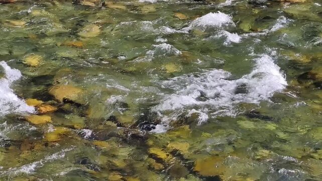 Video of water and stones of Altai river Kuba near Chemal. Camera looks down.