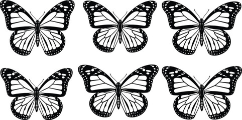 Butterfly icons, symmetrical wing graphics, insect illustration, nature artwork, biology vector design, wildlife symbol, educational pattern recognition drawing © MSTIRIN