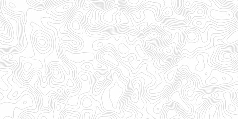 Minimal white line geometric grid outline curve counter map and wavy topography relief discovery area white, black line texture background.