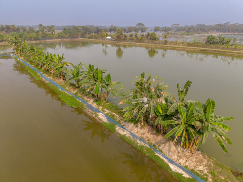 Fishary Project