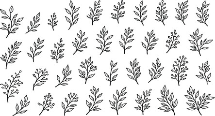 Botanical leaves line art vector set, hand drawn floral branch collection, minimalist plant illustration isolated on white background