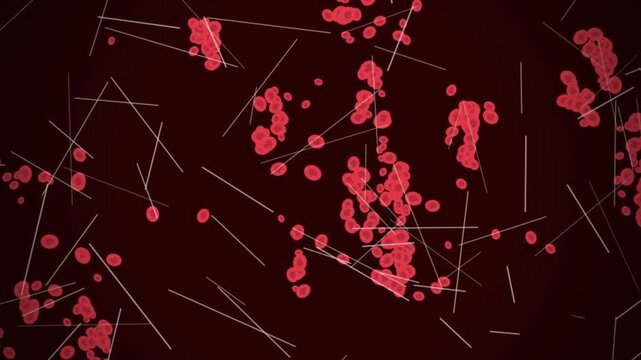 Microscopic 3D Animation of Red Blood Cells and Fibrin Strands, Medical Illustration of Blood Clotting Process