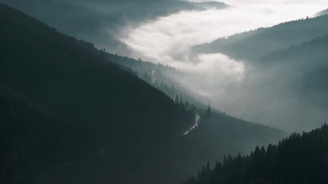 Aerial shot of sunny fog in a deep mountain valley at dawn, Bicaz Gorges