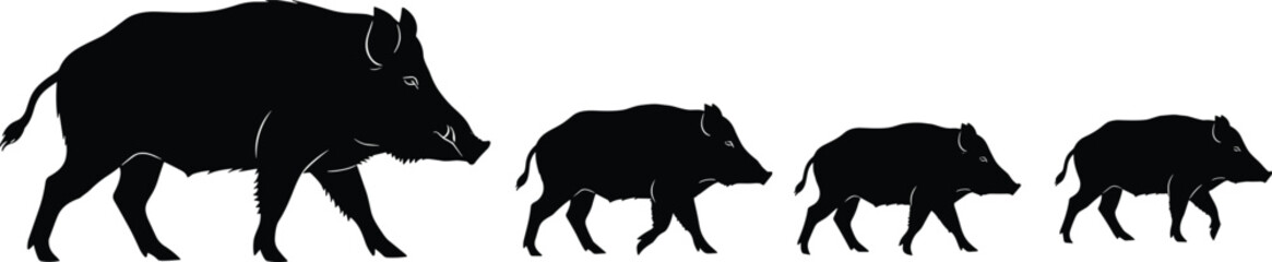 Wild boar silhouettes walking in line, animal family vector illustration showing adult and juvenile piglets in natural wildlife herd movement design © Roisul