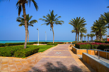 Fototapeta premium Scenic waterfront promenade with palm trees on the Red Sea coast in King Abdullah Economic City (KAEC), Saudi Arabia