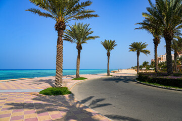 Fototapeta premium Scenic waterfront promenade with palm trees on the Red Sea coast in King Abdullah Economic City (KAEC), Saudi Arabia