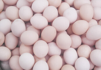 Many white chicken eggs as background	