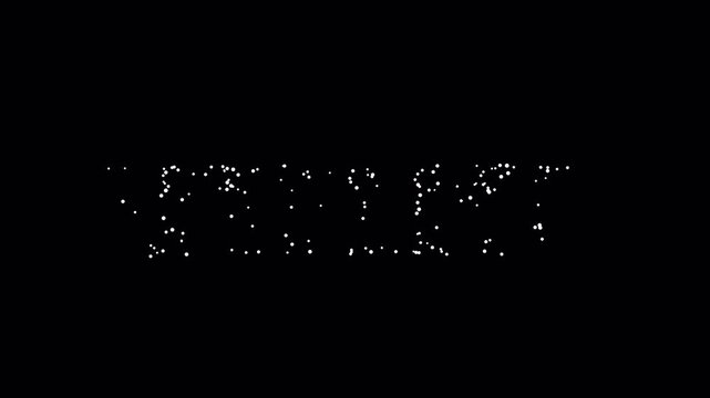 Firefly Animation MOV 4K