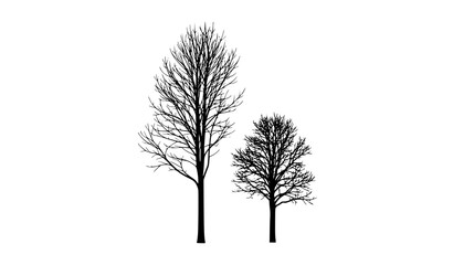 Fototapeta premium Vertical Pair of Bare Tree Silhouettes with Detailed Branches Vector Illustration