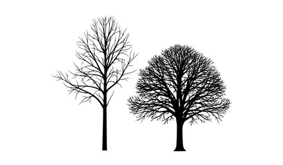 Obraz premium Two Bare Tree Silhouettes Minimal Black Vector Illustration Isolated on White