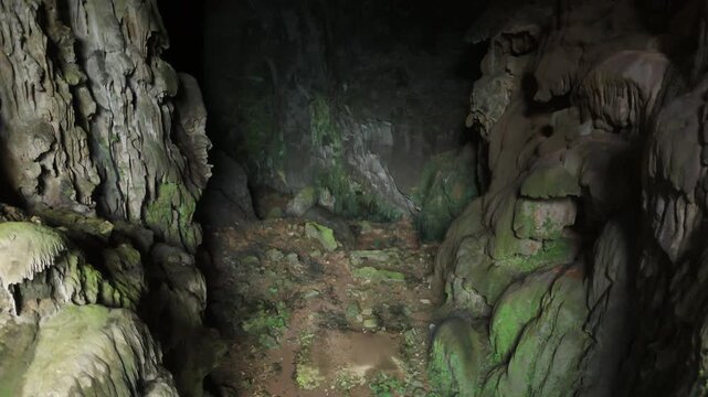 Elephant Cave, Phong Nha &ndash; Ke Bang National Park, Bo Trach, Quang Binh, Central Vietnam &ndash; 4K footage of massive stalactites, moss-covered limestone formations, jungle cave entrance of UNESCO site