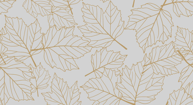 Seamless pattern of outlined maple leaves in gold on a light gray background. The design is delicate and elegant, evoking a feeling of autumn.