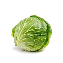 Fototapeta premium Fresh Green Cabbage Head with Crisp Leaves Isolated on White Background for Culinary Use