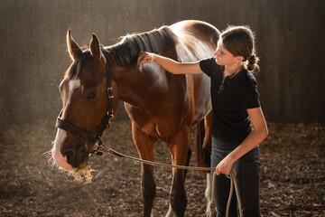 Young rider grooms horse in riding arena. Focused girl learns to groom horse indoors, using comb to comb its mane. Horse grooming concept.