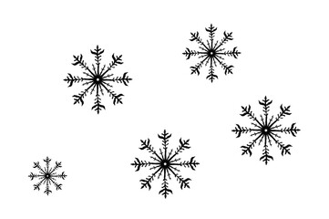 冬　雪の結晶たち