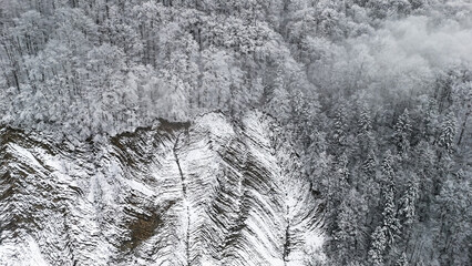 A wintry amphitheater of trees rings a wall of patterned stone where snowy chutes descend in...