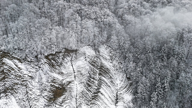 A wintry amphitheater of trees rings a wall of patterned stone where snowy chutes descend in graceful lines. Mist softens the heights and the valley waits in quiet below.