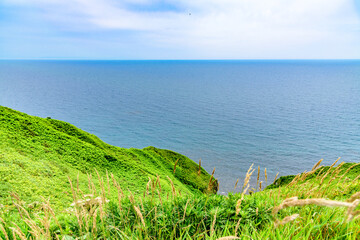 オロロンの島 焼尻島(やぎしりとう)を行く
