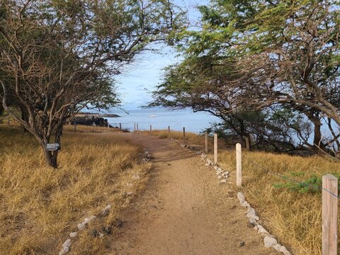 Eddie Pu trail near the Kamaole beach in Maui, Hawaii