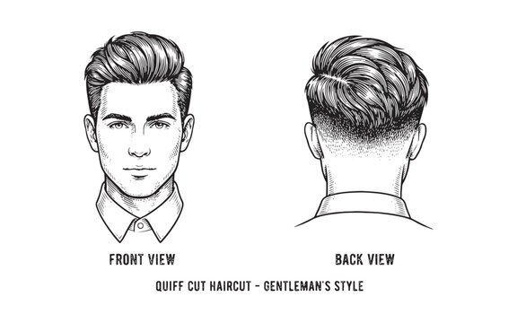 Retro barbershop illustration of a stylish men's quiff cut with a fade, front and back views