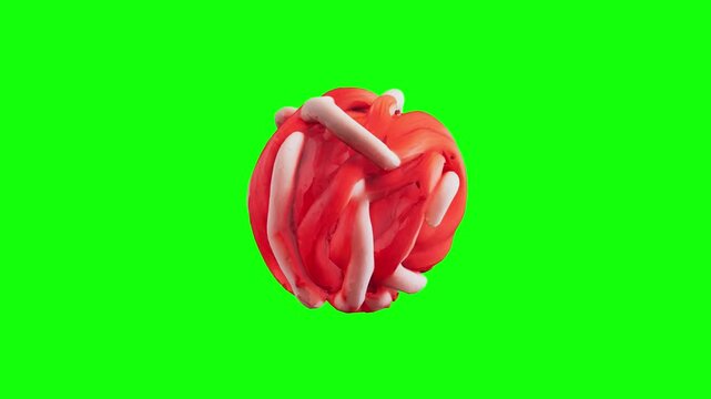 3D muscle fiber icon animated on green screen background