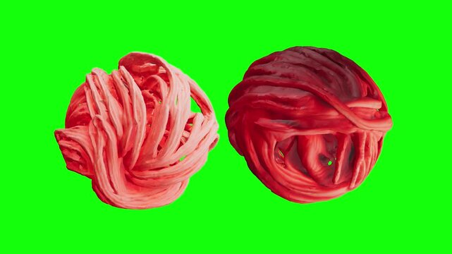 3D muscle fiber icon animated on green screen background