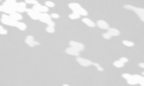 コンクリートの壁面に差し込む柔らかな木漏れ日