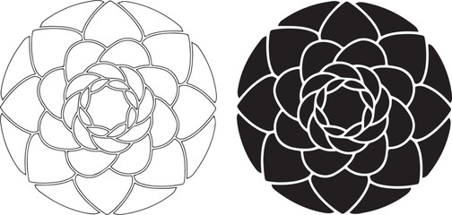 Black and white succulent flower line circular petals