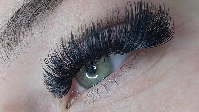 Close up of female eye with eyelash extensions ,eyelash extension procedure.2d volume, 3d volume, classical lashes,Russian volume,mega volume, new set.