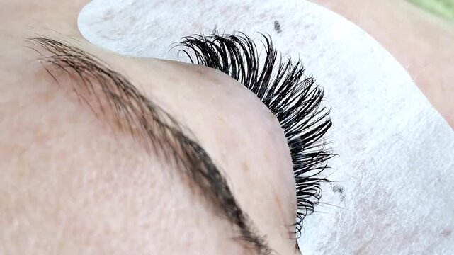 Close up of female eye with eyelash extensions ,eyelash extension procedure.2d volume, 3d volume, classical lashes,Russian volume,mega volume, new set.