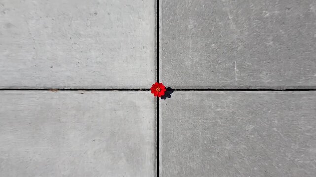 A small red ladybug standing alone on a large grey tiled floor viewed from directly above