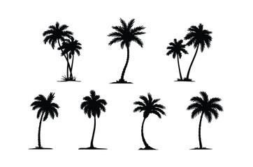 Fototapeta premium Tropical Palm Tree Silhouettes Set – Lush Coconut Palms Black Beach Flora Vector