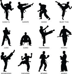 Obraz premium Black vector illustration set of twelve martial arts silhouettes including karate, kung fu, judo, taekwondo, boxing, and more, arranged in grid format for sports and training design.