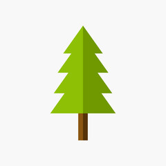 Minimalist conifer tree illustration