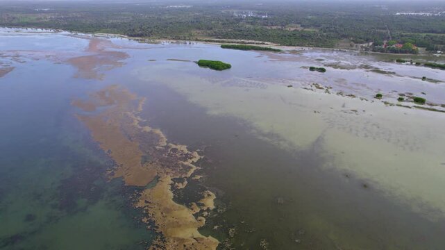 High aerial panoramic of natural foaming green algae lagoon patterns and forest in remote north Sri Lanka