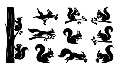 Forest squirrel vector silhouettes in action poses for wildlife and nature-themed design © BijoyChandra