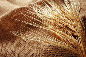 Naklejka premium Wheat stalks arranged on a burlap cloth in a simple indoor setting during the afternoon