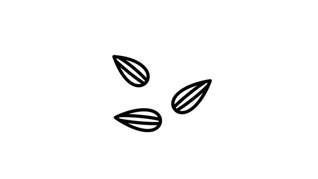 icon motion graphic almond boost
