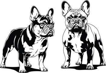 Black and White Silhouette Vector Set of French Bulldog Dogs Standing in Front and Side View Poses for Pet flavector