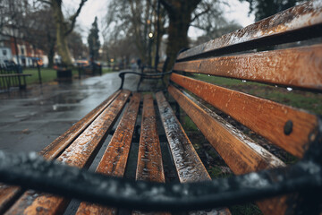 Fototapeta premium Close Up of Rain Wet Park Bench Creating Moody Autumn Atmosphere