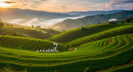 Fototapeta premium Lanscape Wallpaper. A serene landscape of rolling green hills with terraced fields at sunrise